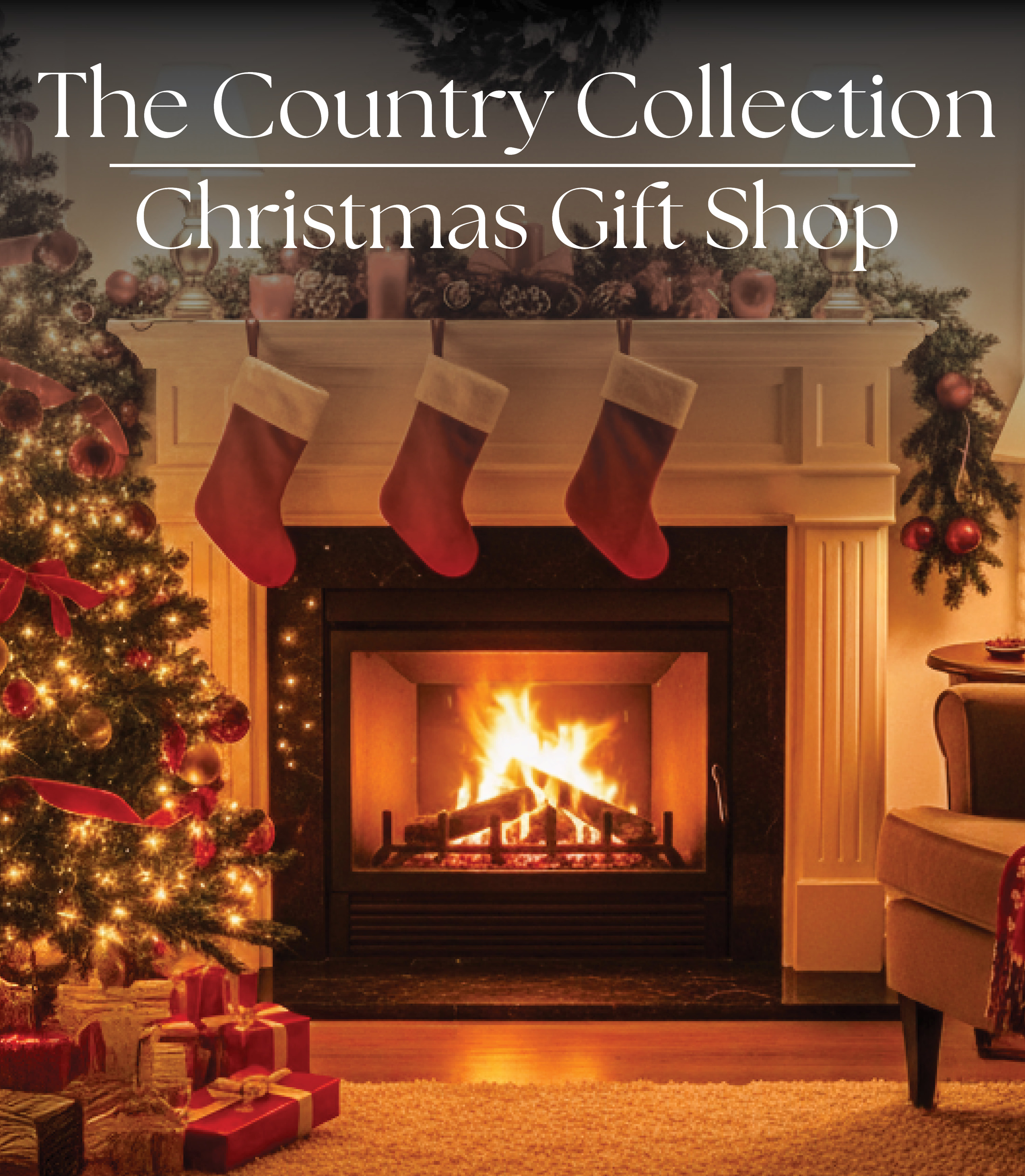 Visit our Christmas Shop